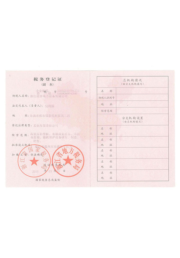 能容电力税务登记证